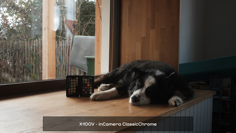 DLF V-Log Alchemy, ClassicChrome mit Lumix