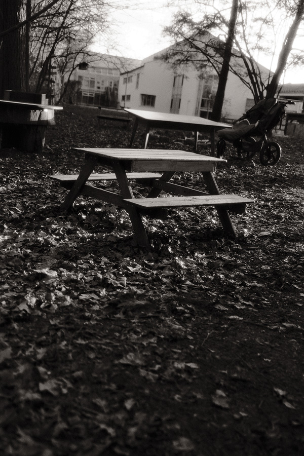 DLF 3 Jahre Fuji X100V - Ein Erfahrungsbericht