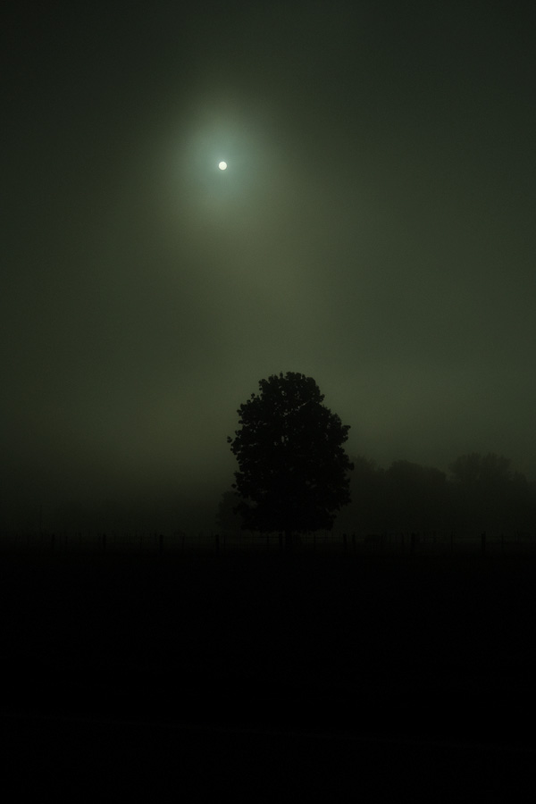 DLF 3 Jahre Fuji X100V - Ein Erfahrungsbericht