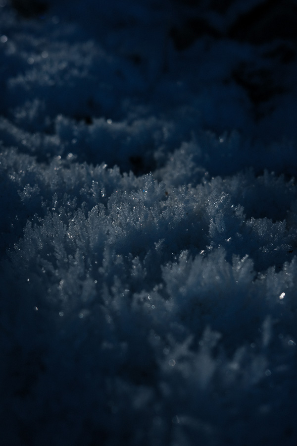 DLF 3 Jahre Fuji X100V - Ein Erfahrungsbericht