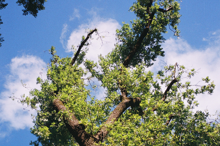 Analogfilm belichten