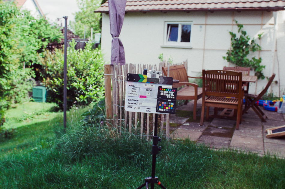 DLF Kodak Vision 500 T - Test – Garten Schatten - -1