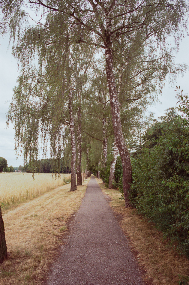 Kodak Vision3 250D Beispielbild